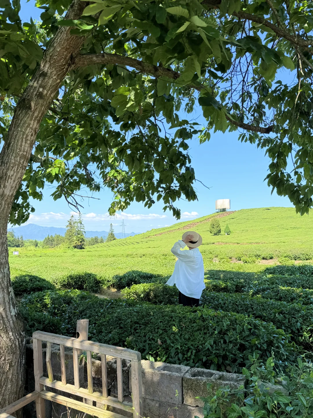 景德镇市雕塑瓷厂旅行实拍